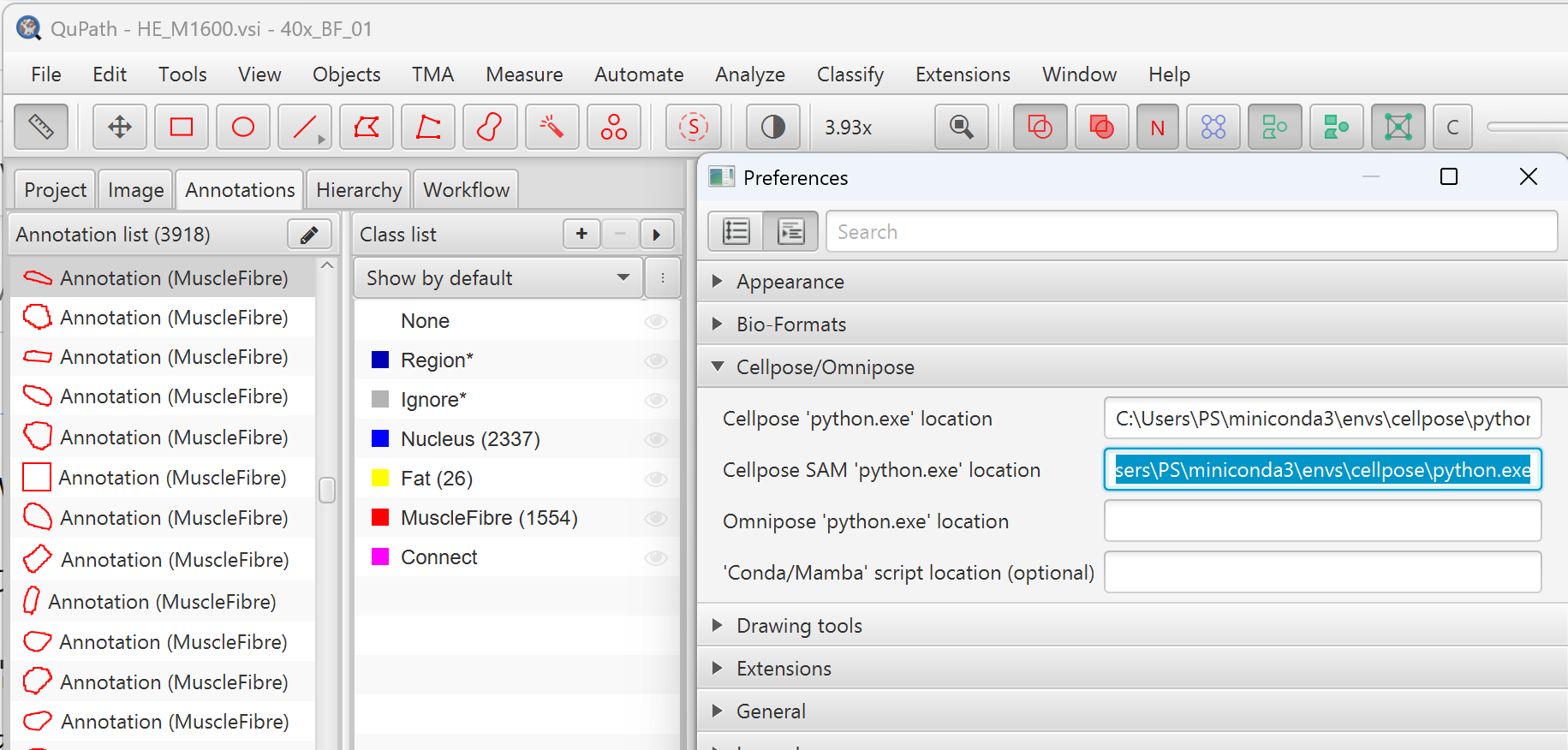 Cellpose extension configuration in QuPath Preferences