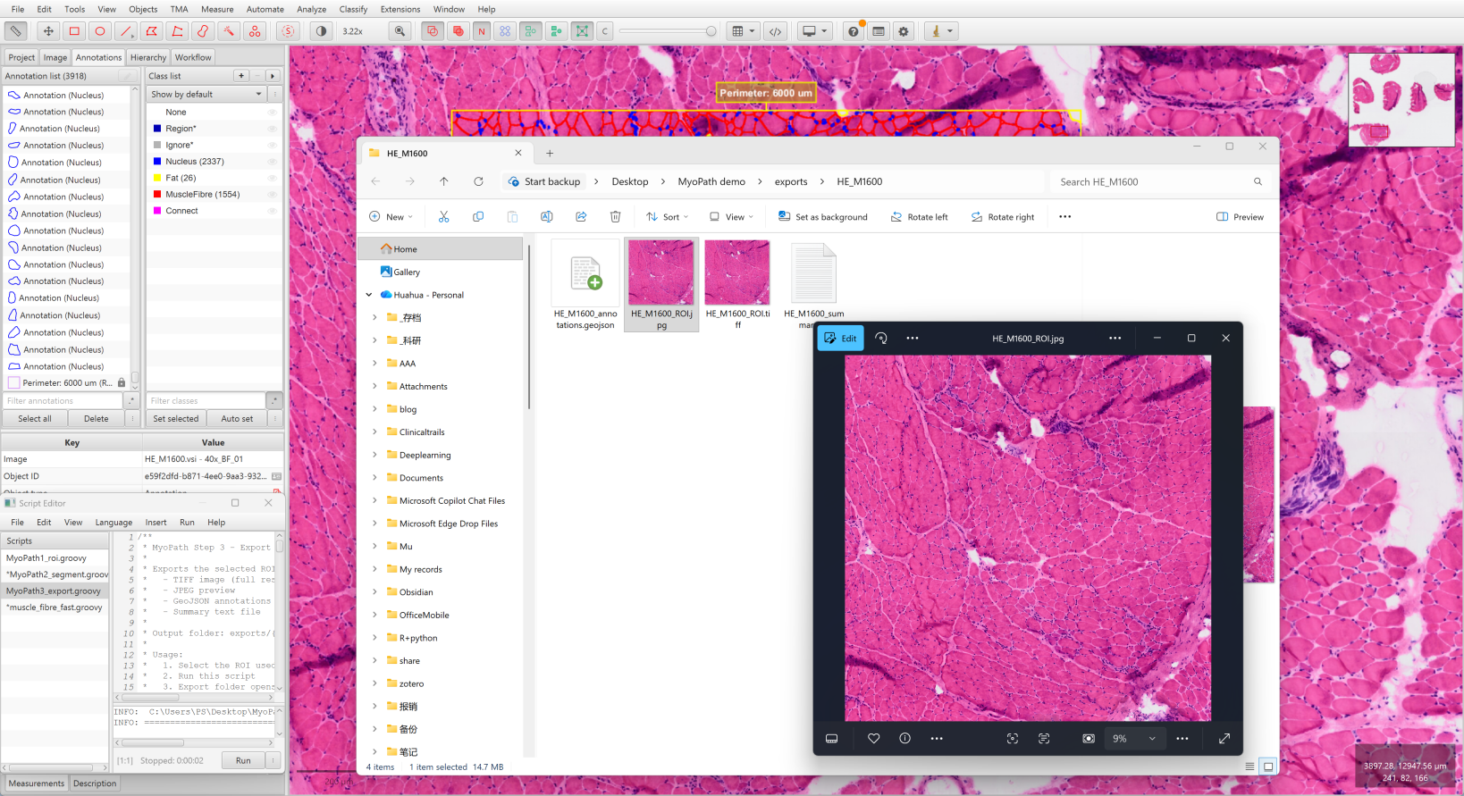 Step 3 — Exported files