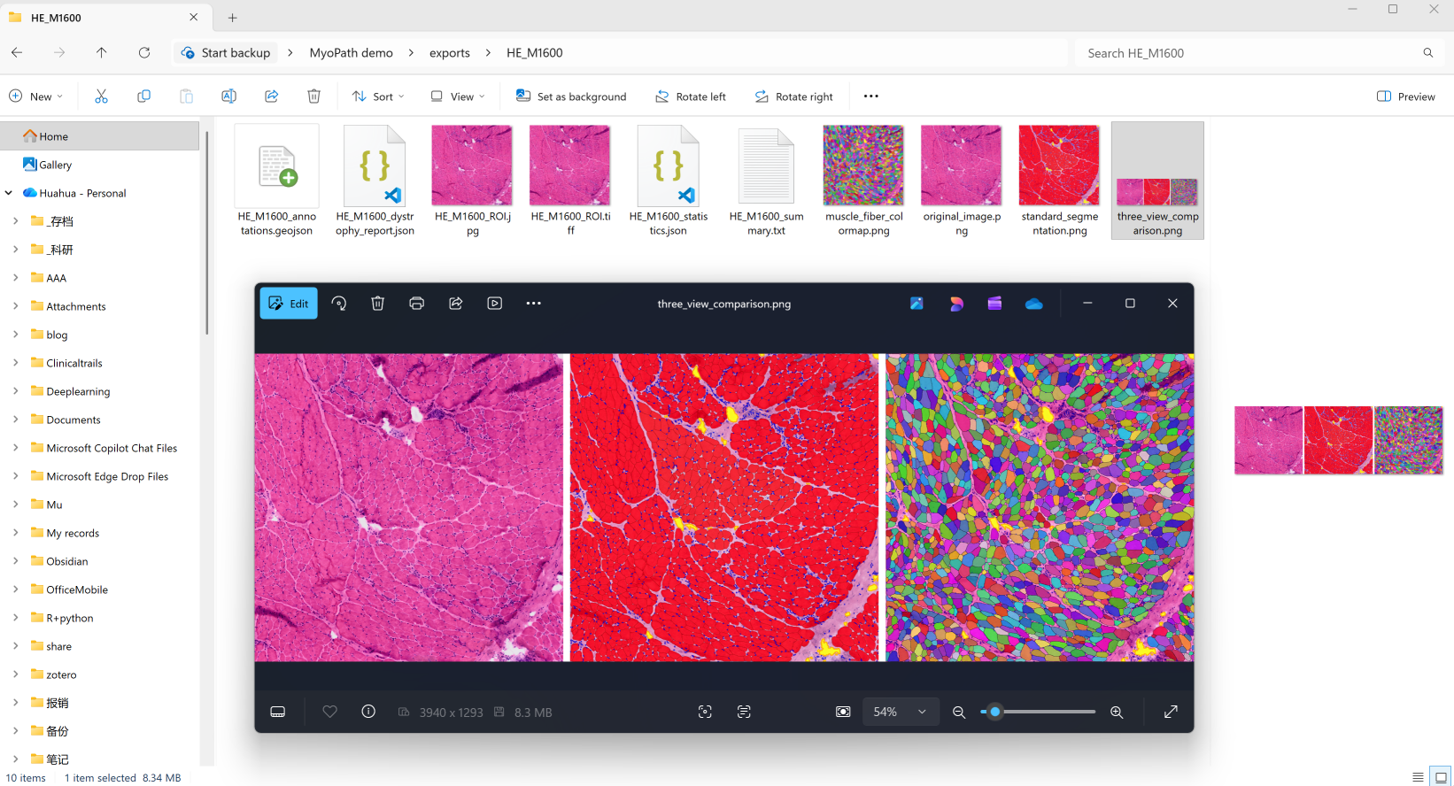 Step 4 — Three-view comparison output