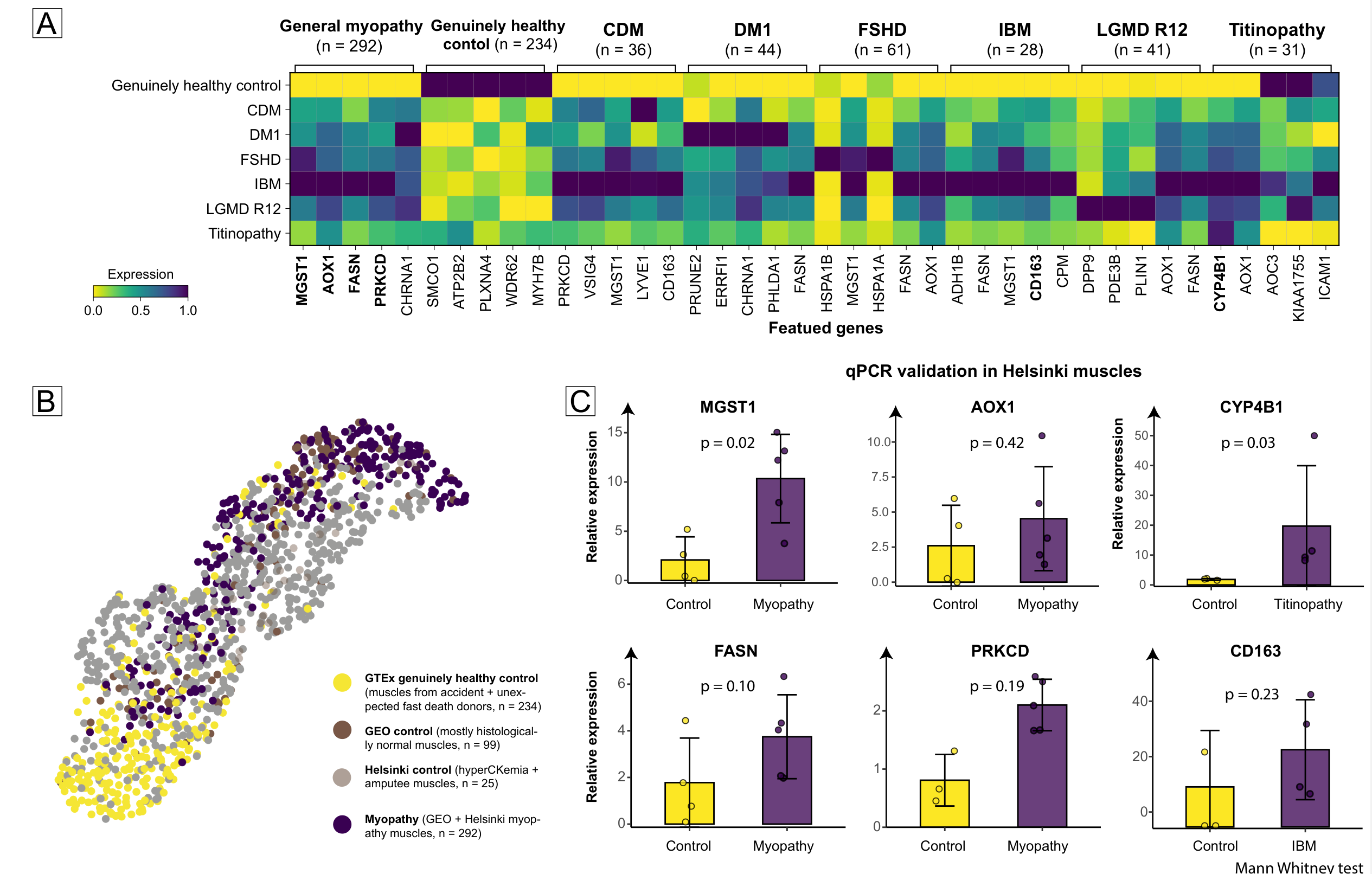 Featured Genes and qPCR Validation